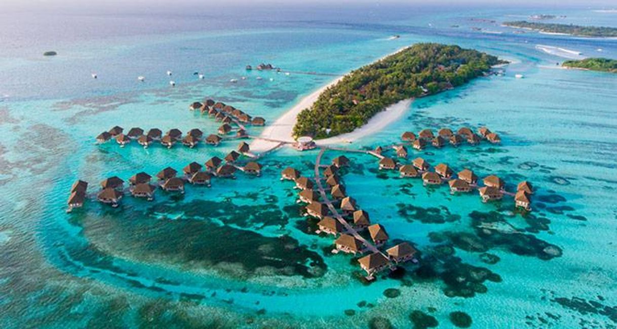 Lugar Maldives Beach Resort | Ellaidhoo Maldives by Cinnamon Official Site