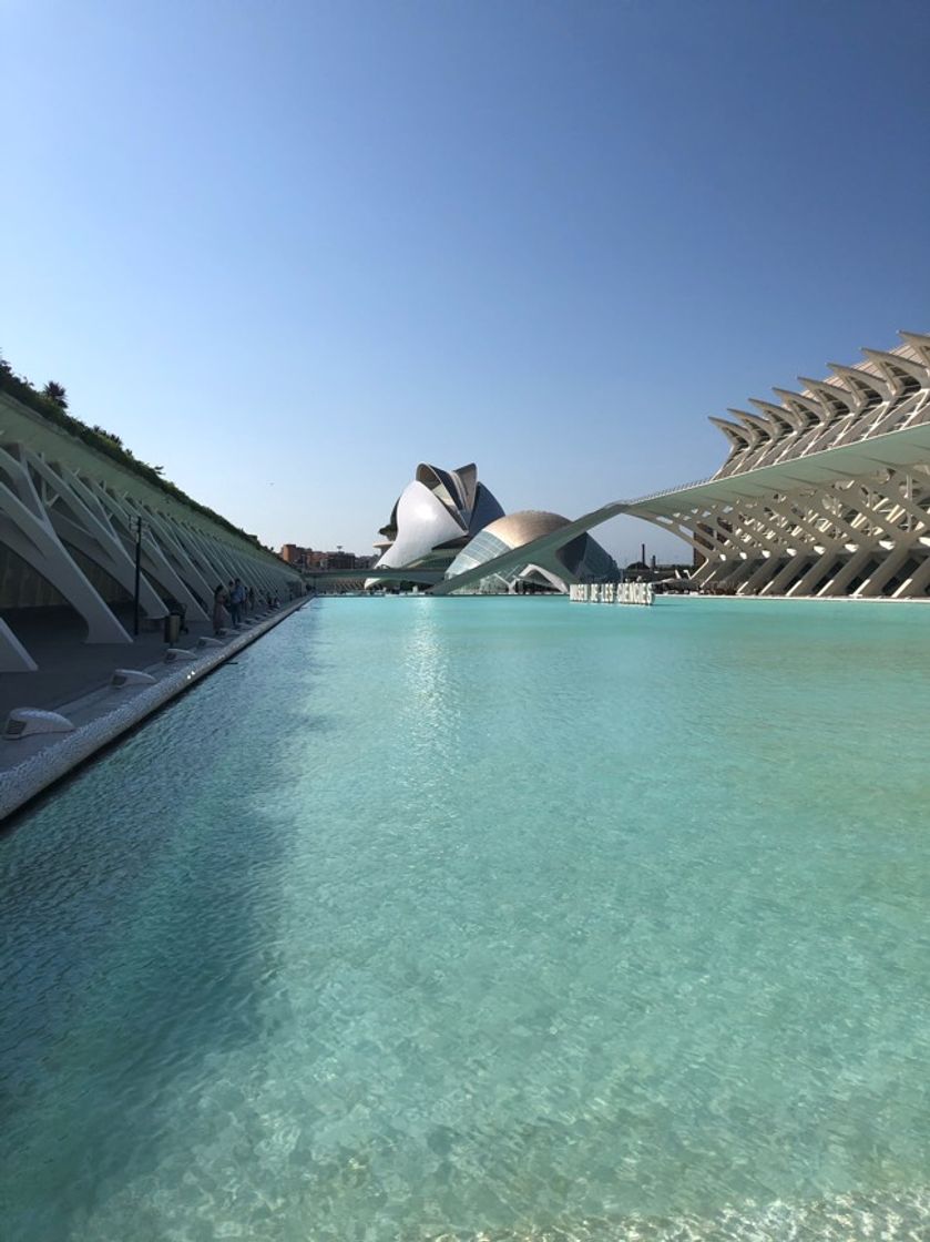 Place Ciudad de las Artes y las Ciencias