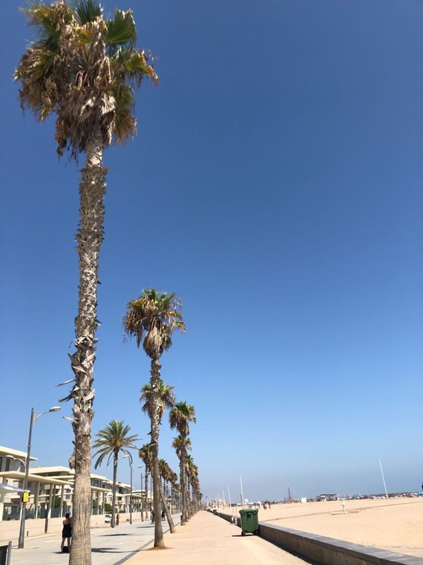 Place Playa Alboraia