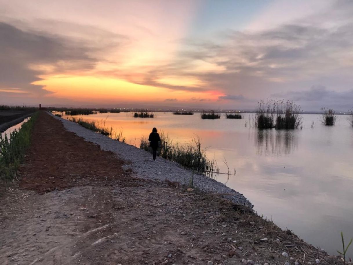 Place Albufera de Valencia