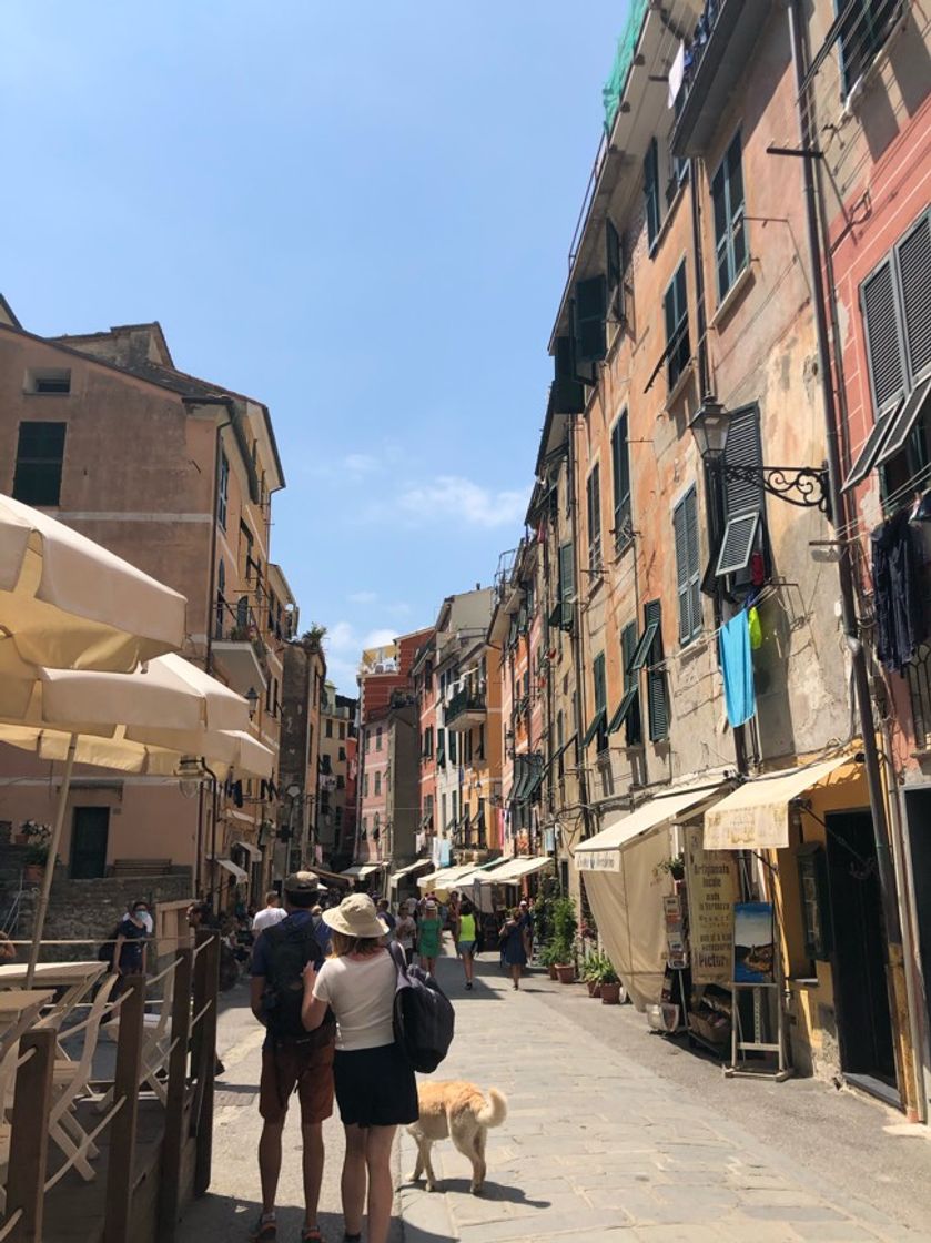 Place Vernazza