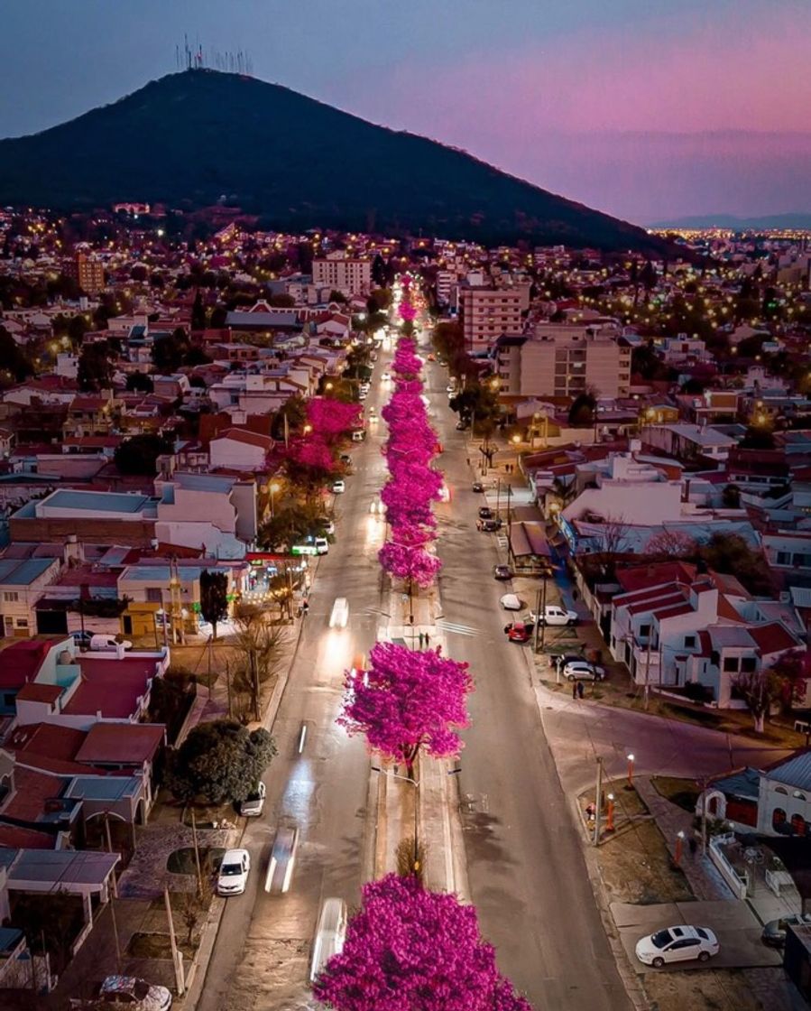 Place Avenida Belgrano