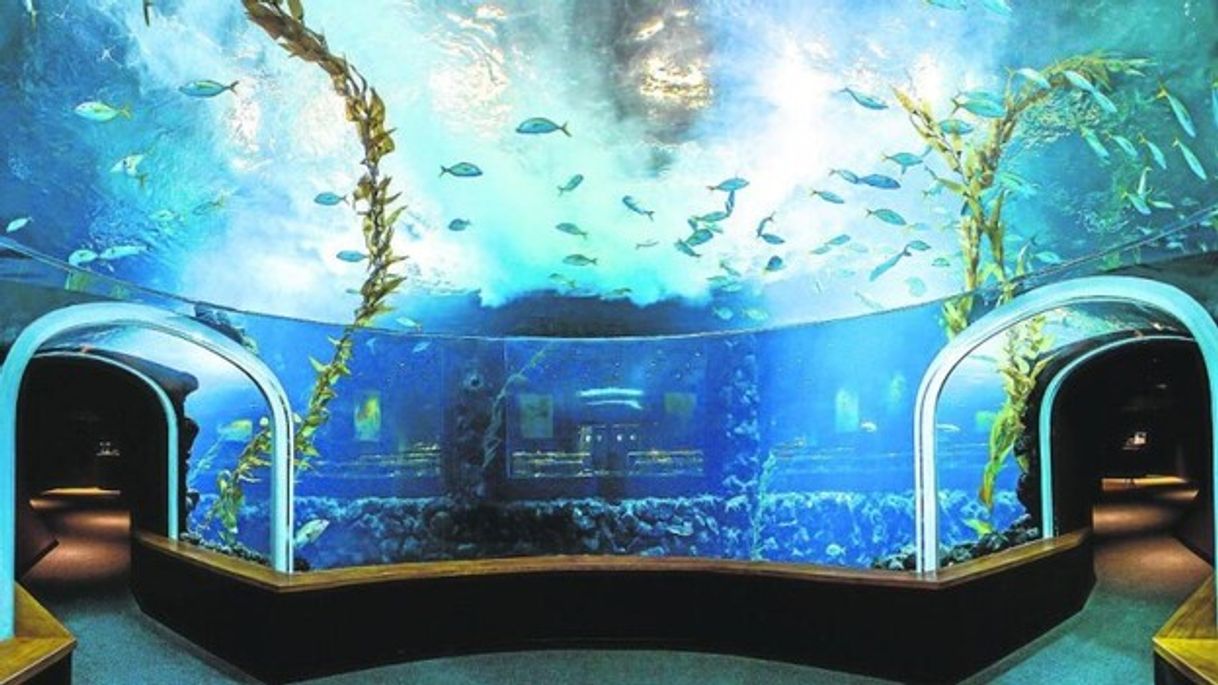 Place Poema del Mar Aquarium