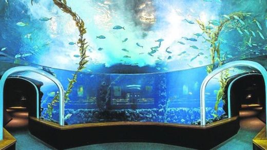 Poema del Mar Aquarium