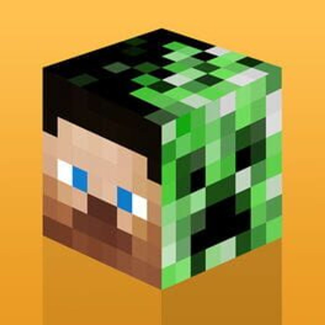 Videogames Minecraft: Skin Studio