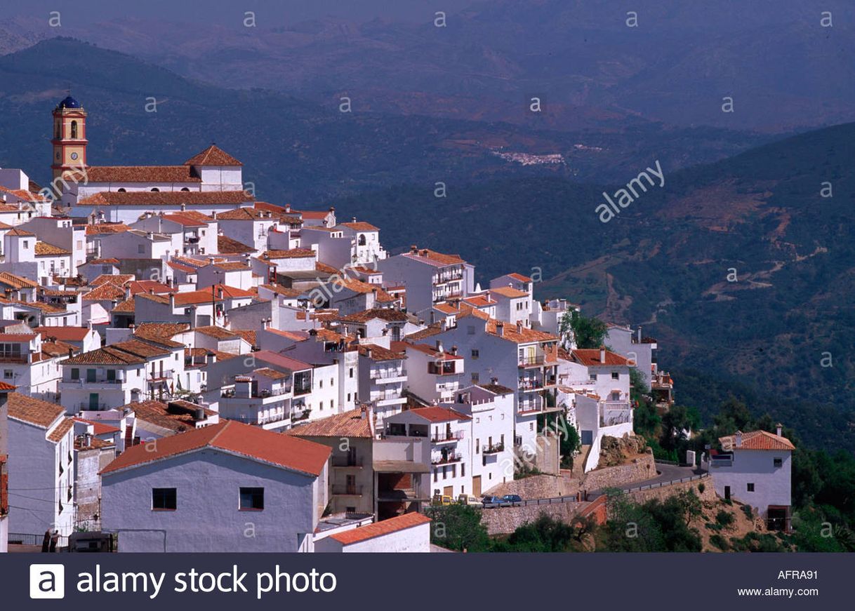 Algatocín