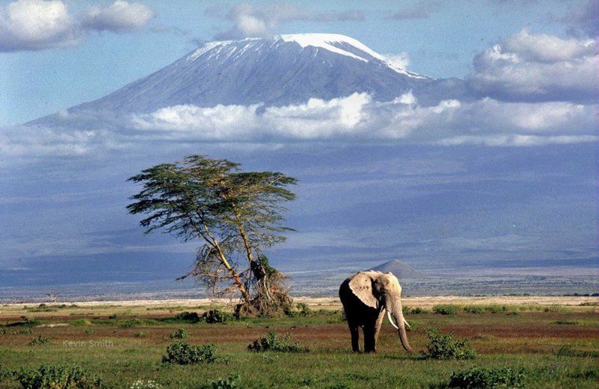 Place Kilimanjaro