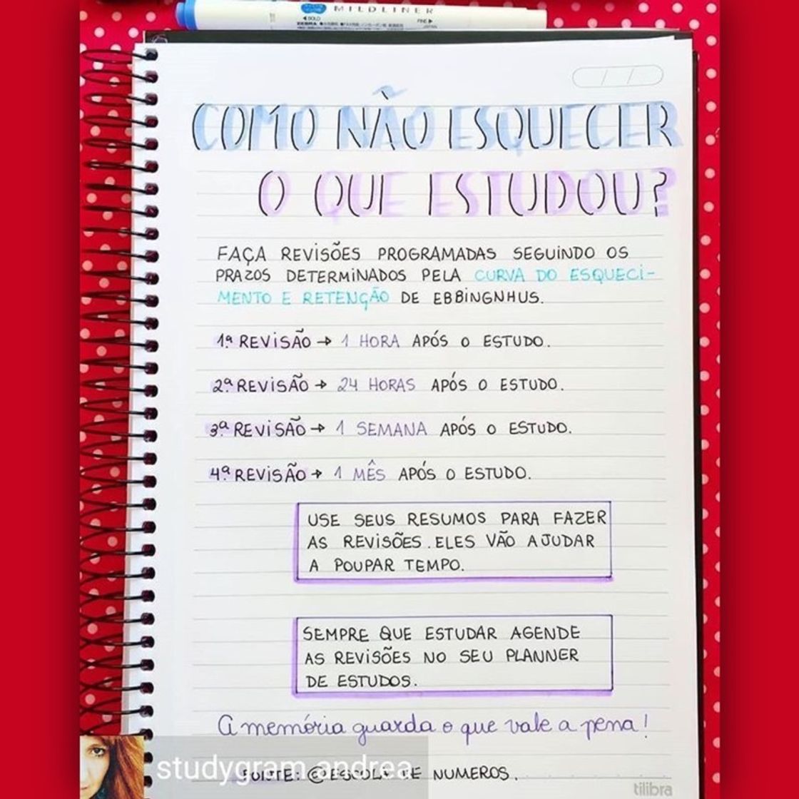 Fashion Dicas de estudo 