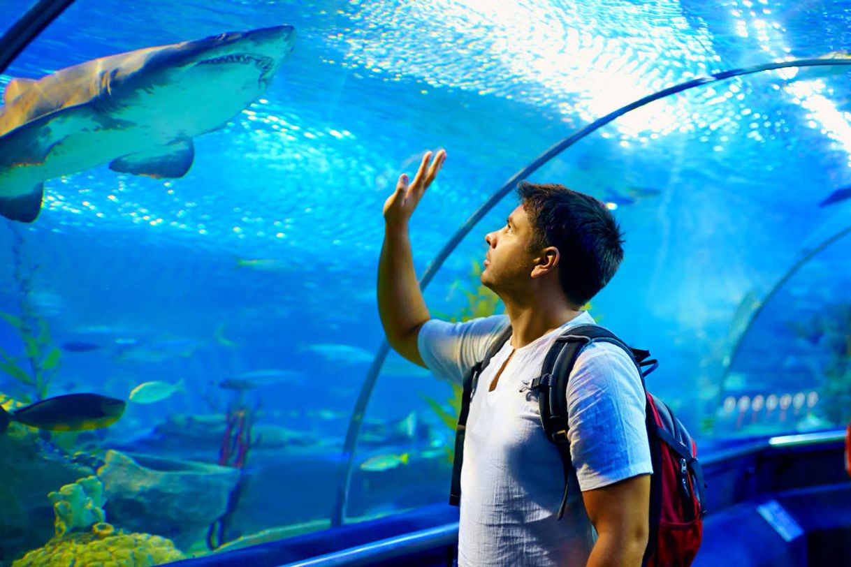 Place Acuario de Gijón