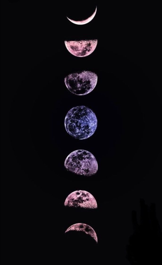 wallpaper