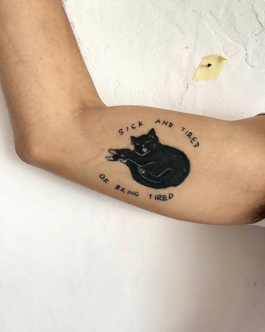 Moda Tatoos de gatinhos ✨