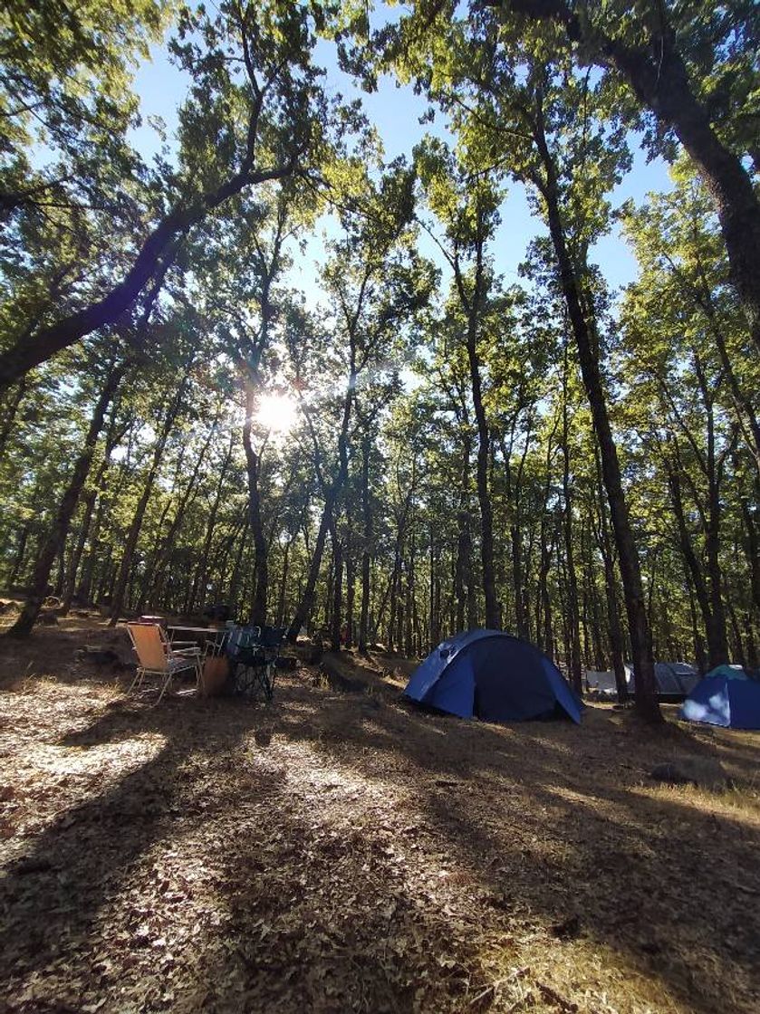 Place Camping El Folgoso - Lago de Sanabria