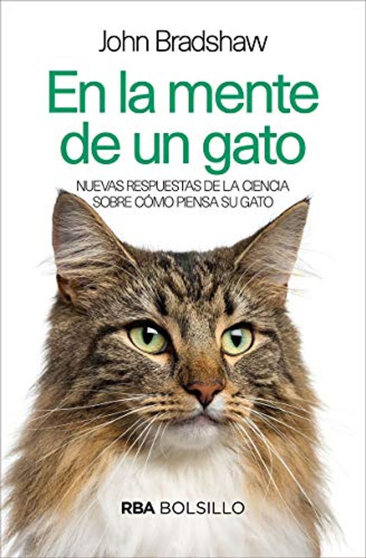 Book En la mente de un gato