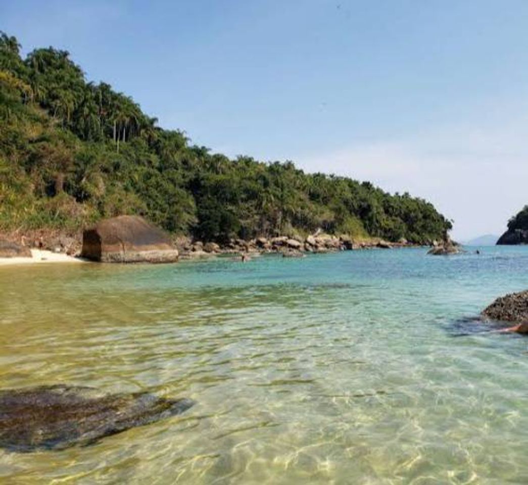 Places Ilha das Couves, Ubatuba- SP