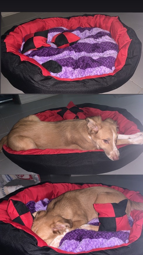 Fashion CAMA PARA PERROS