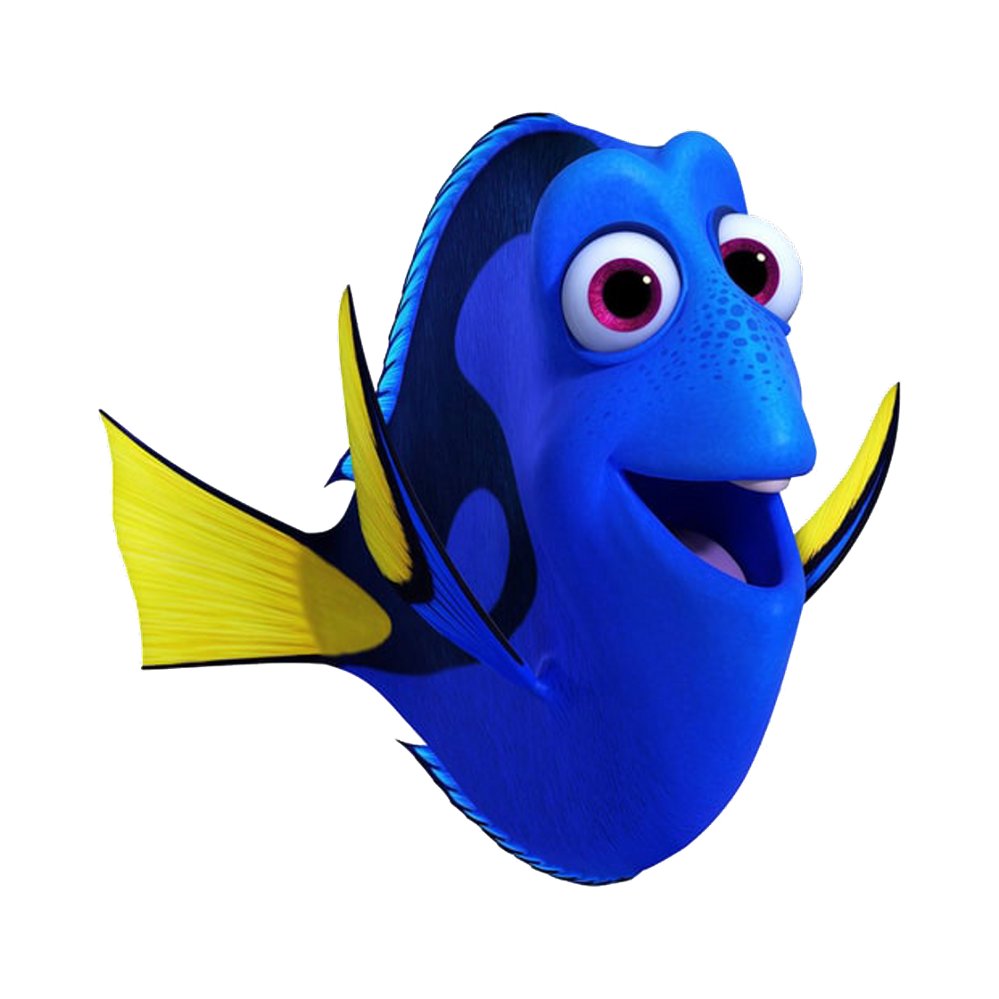 Social Dory (Buscando a Nemo) 