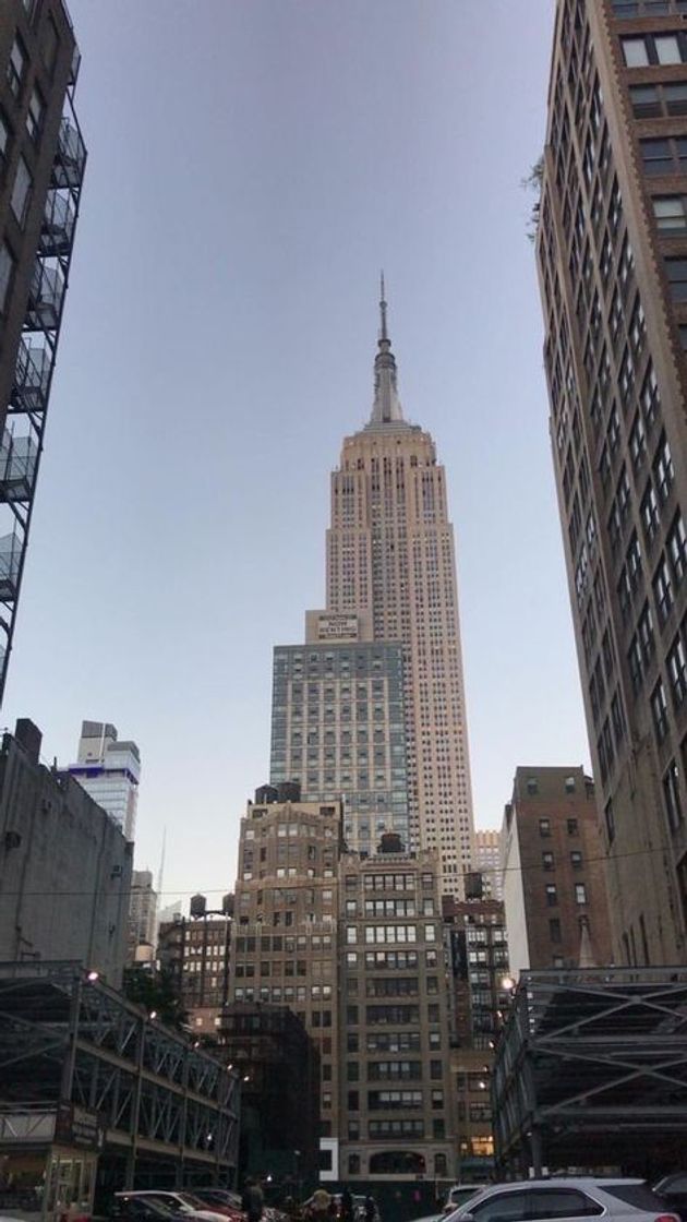 Social New York 🗽