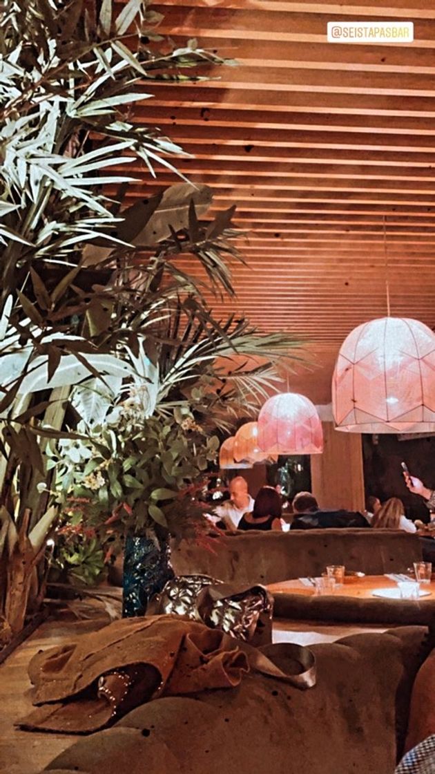 Restaurants Seis