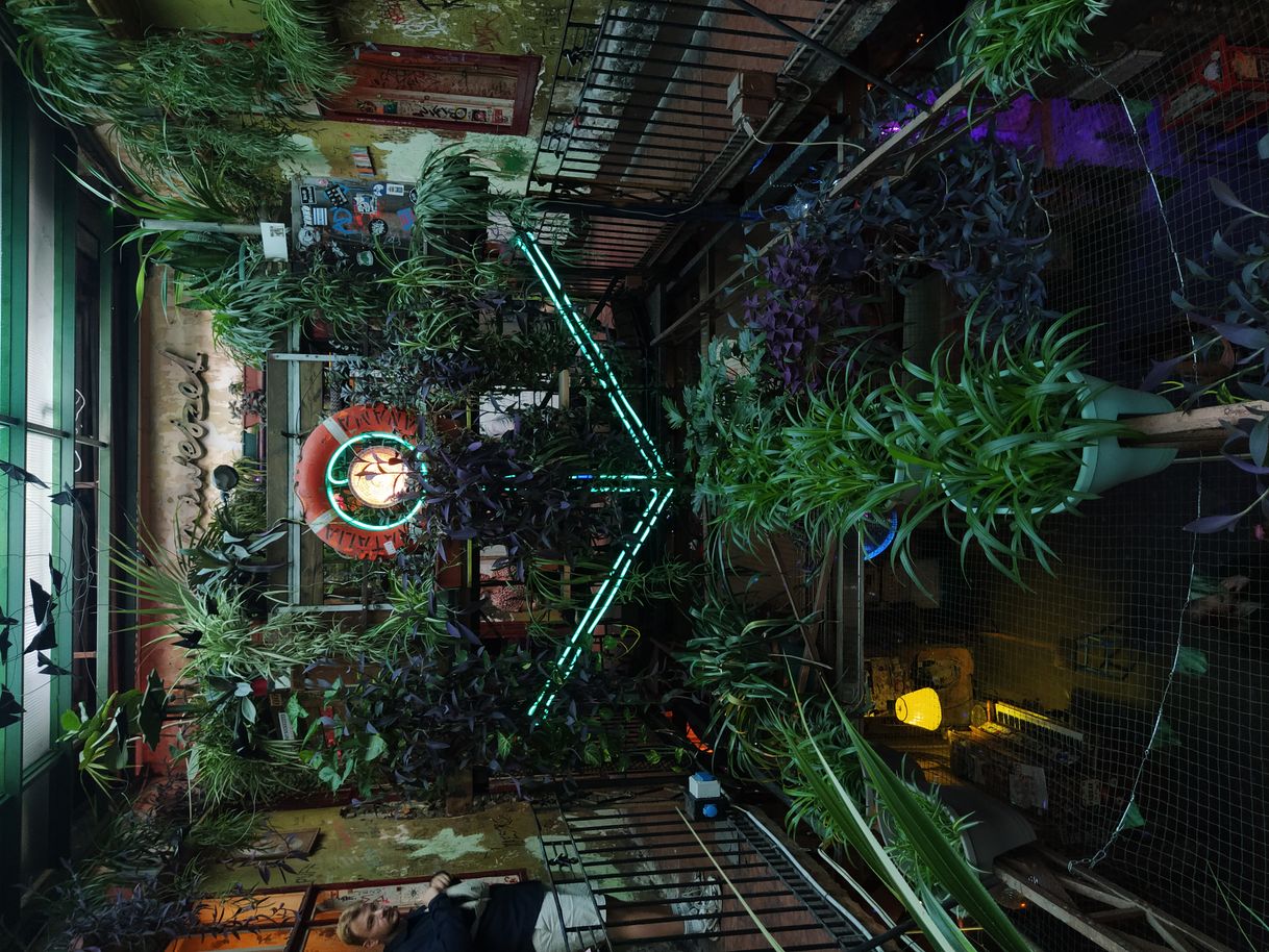 Lugar Szimpla Kert