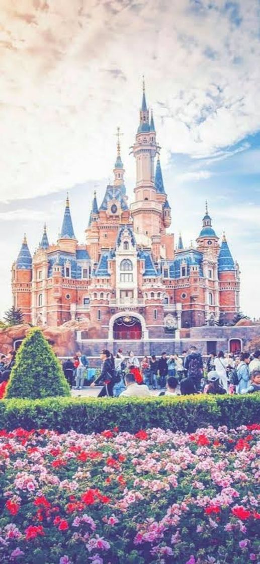 Moda Wallpaper Castelo da Disney 