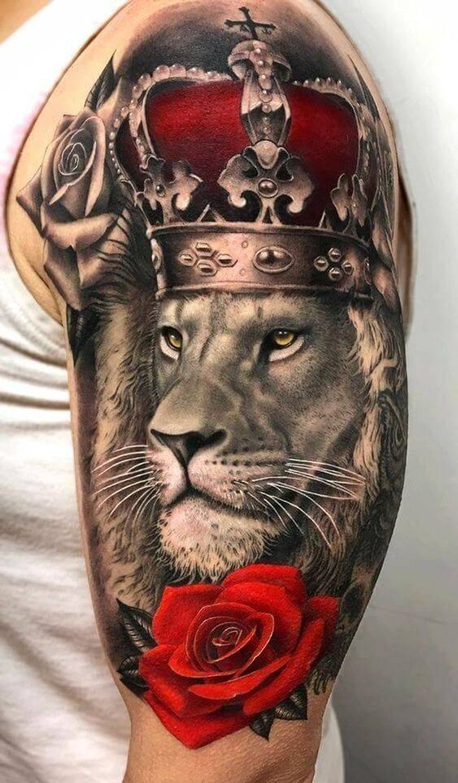 Moda Tatu... rei Leão 🦁