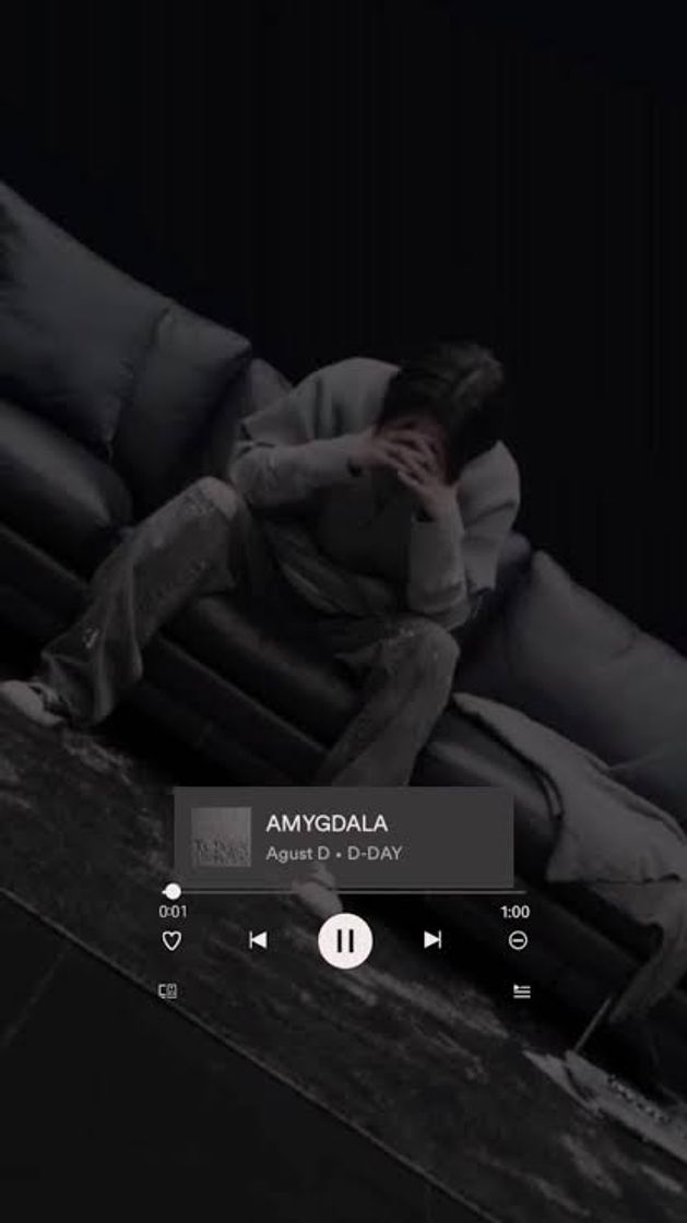 Canción AMYGDALA