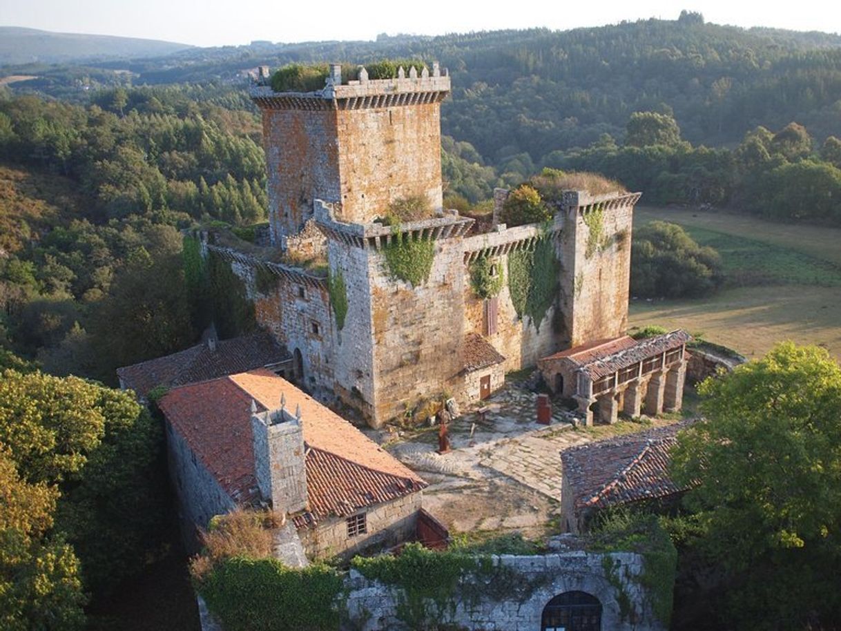 Lugar Castillo de Pambre