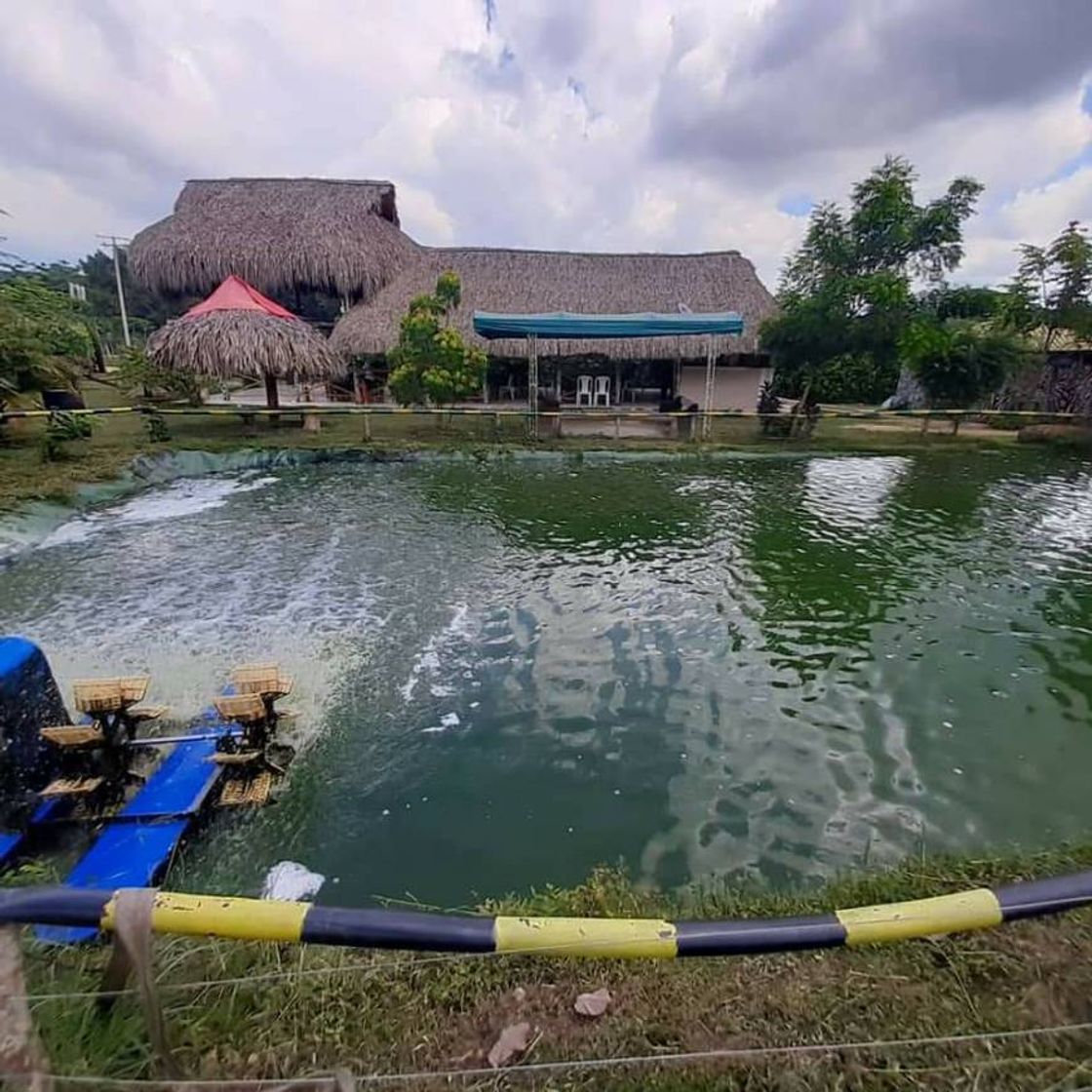 Restaurantes Pesca Deportiva El Timon Restaurante