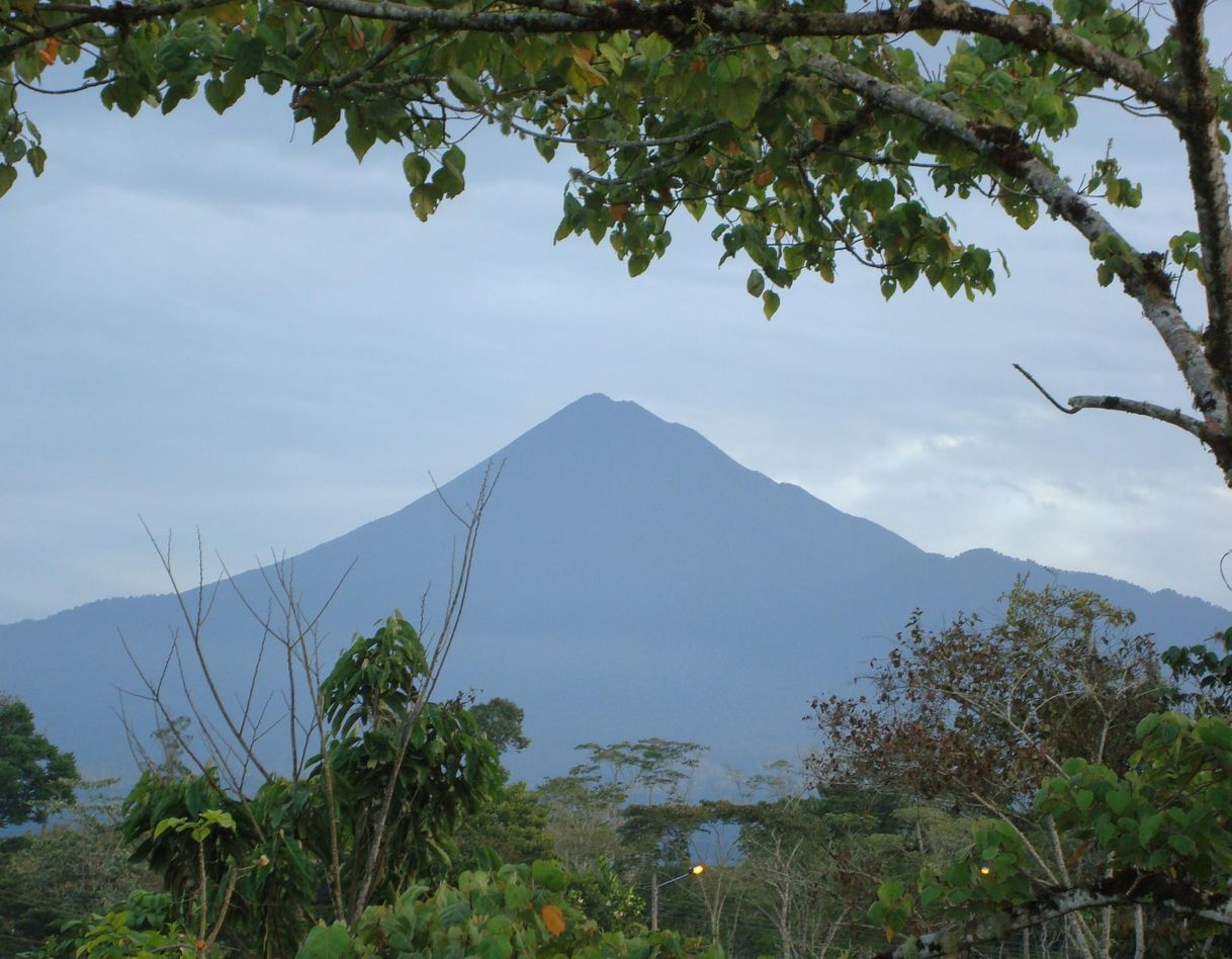 Lugar Parque nacional Sumaco Napo-Galeras