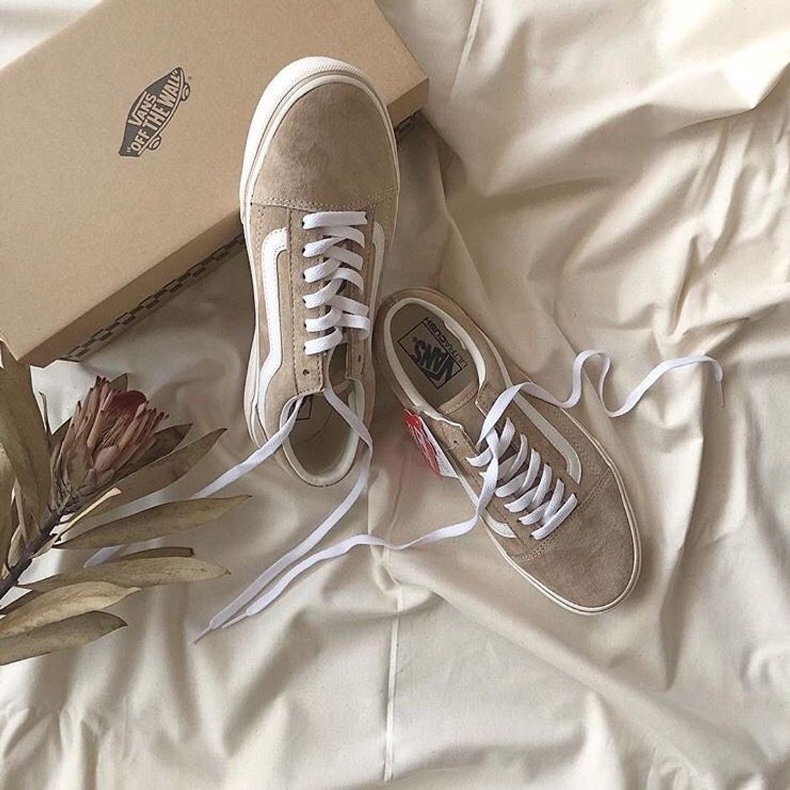 Moda Vans