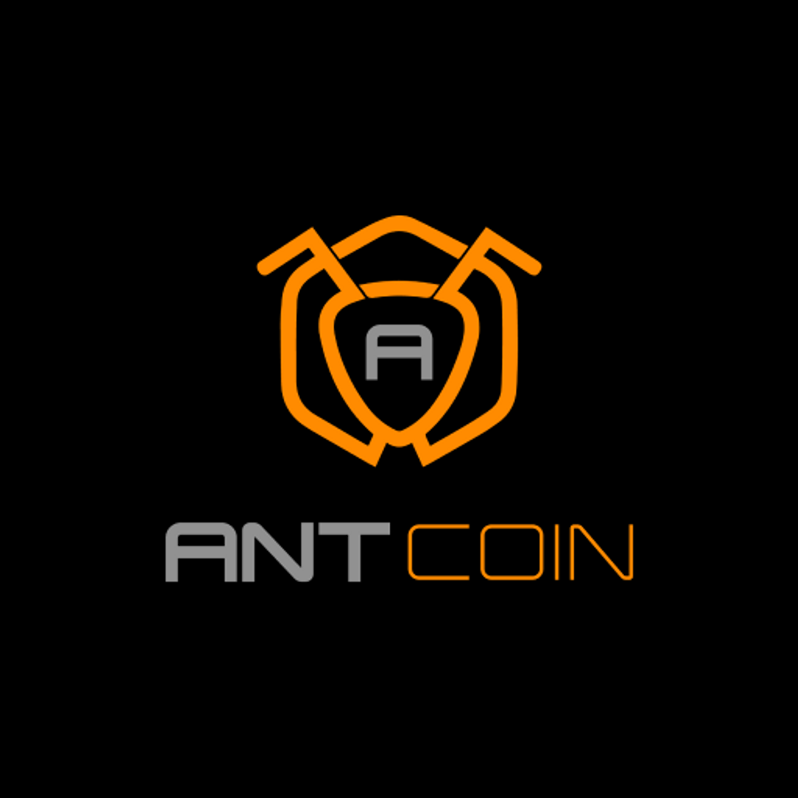 App Ant Network