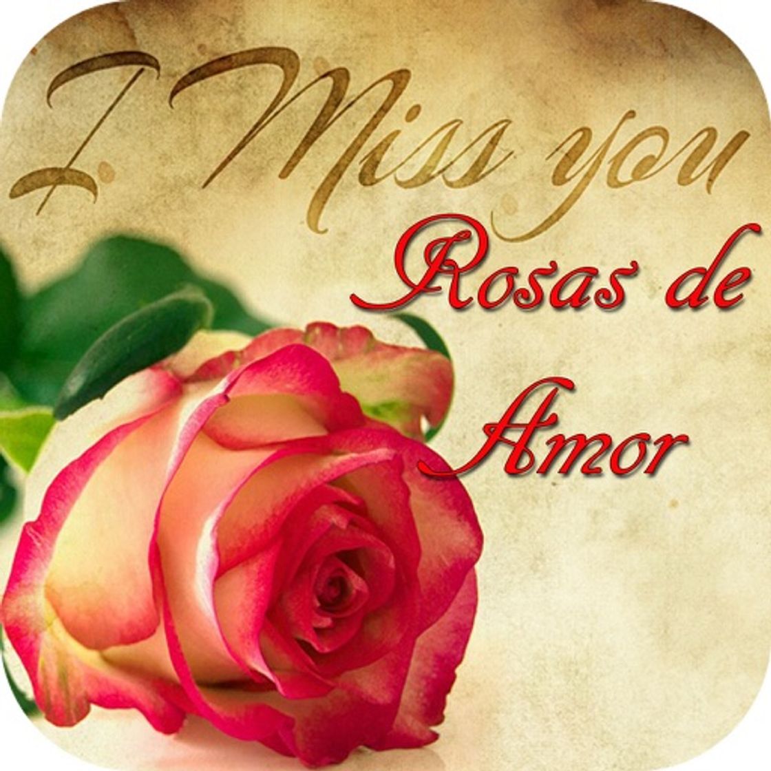 App Rosas de Amor