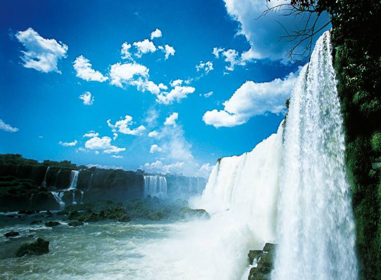 Moda As cataratas do Iguaçu 