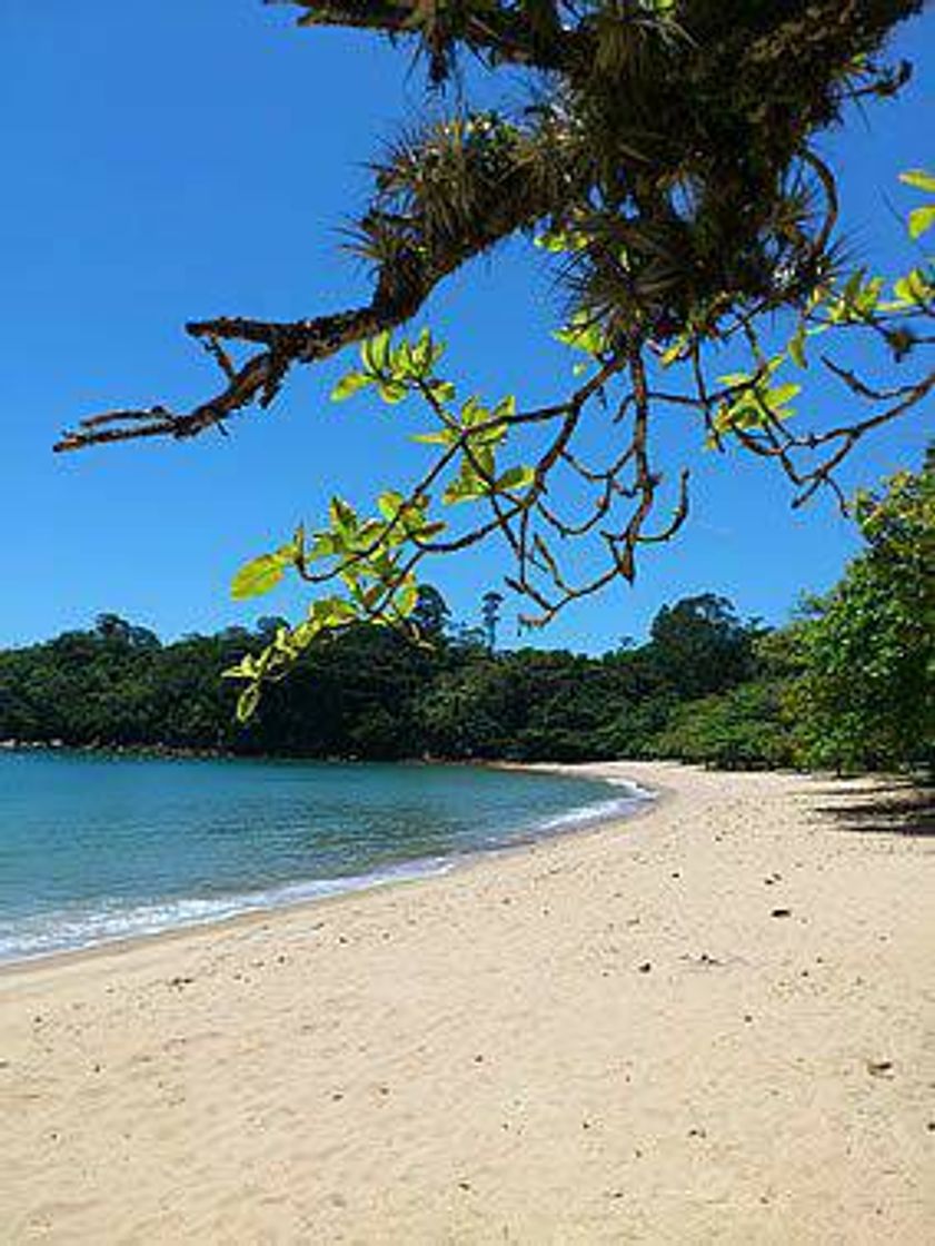 Moda Ubatuba