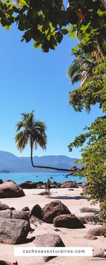 Ilha  grande 