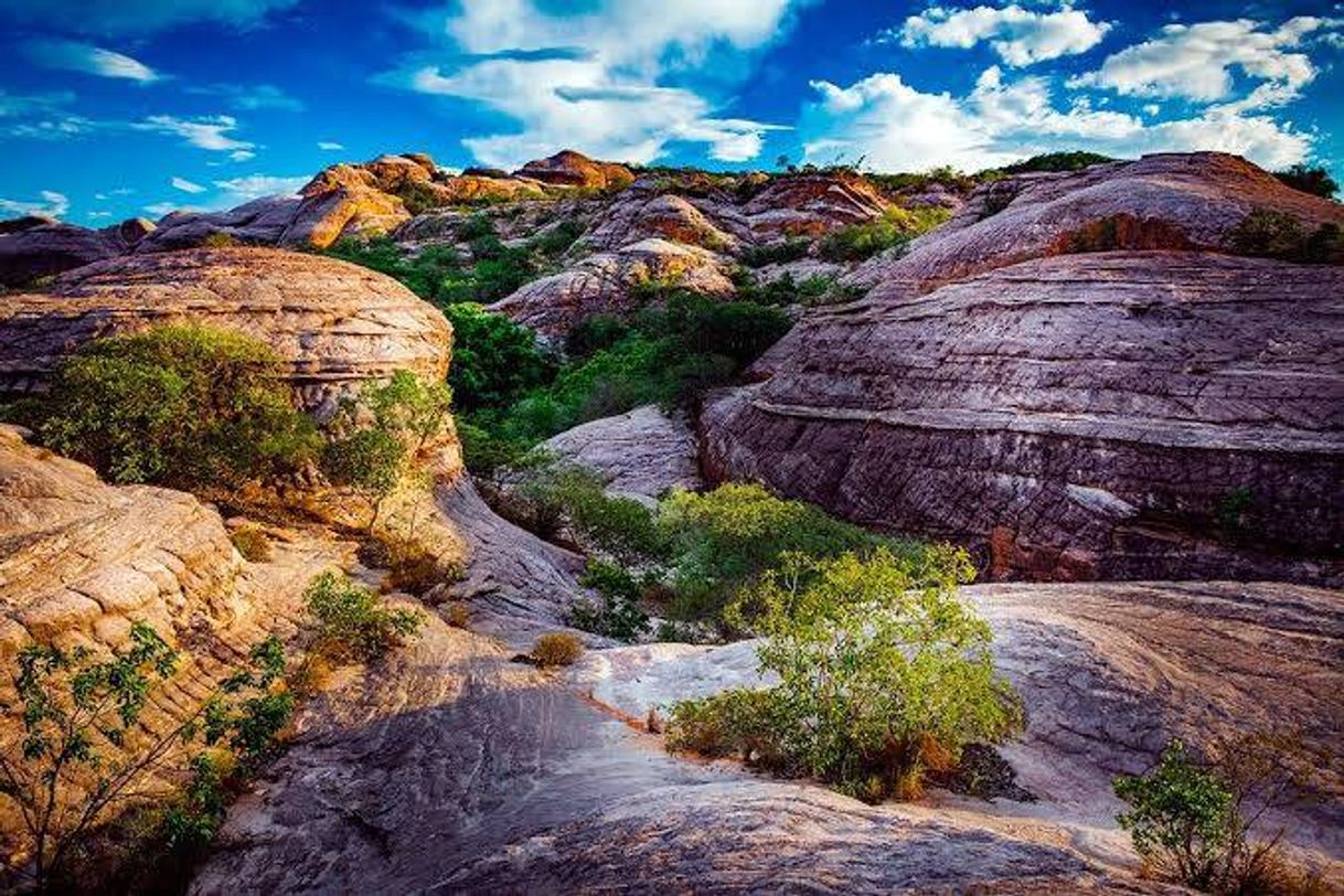 Place Parque Nacional Serra das Confusões