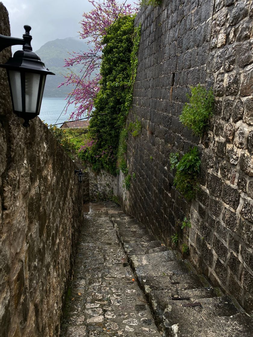 Place Perast