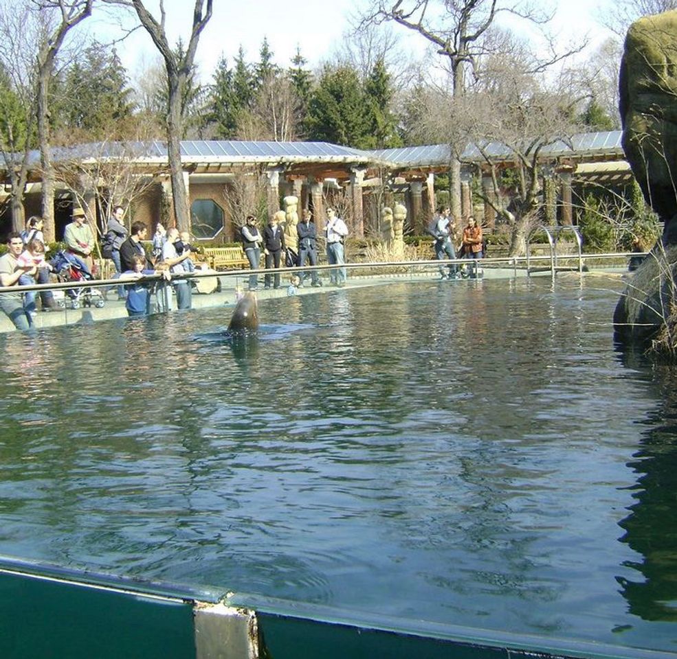 Fashion Zoológico no Central Park em Nova York 