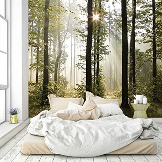 murimage Papel Pintado Bosque 366 x 254 cm Incluyendo Pegamento Fotomurales Vista 3D Madera árboles luz del Sol Sala Living Oficina Dormitorio