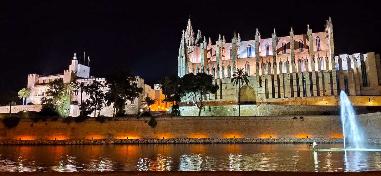 Fashion Catedral de Santa María de Palma de Mallorca 