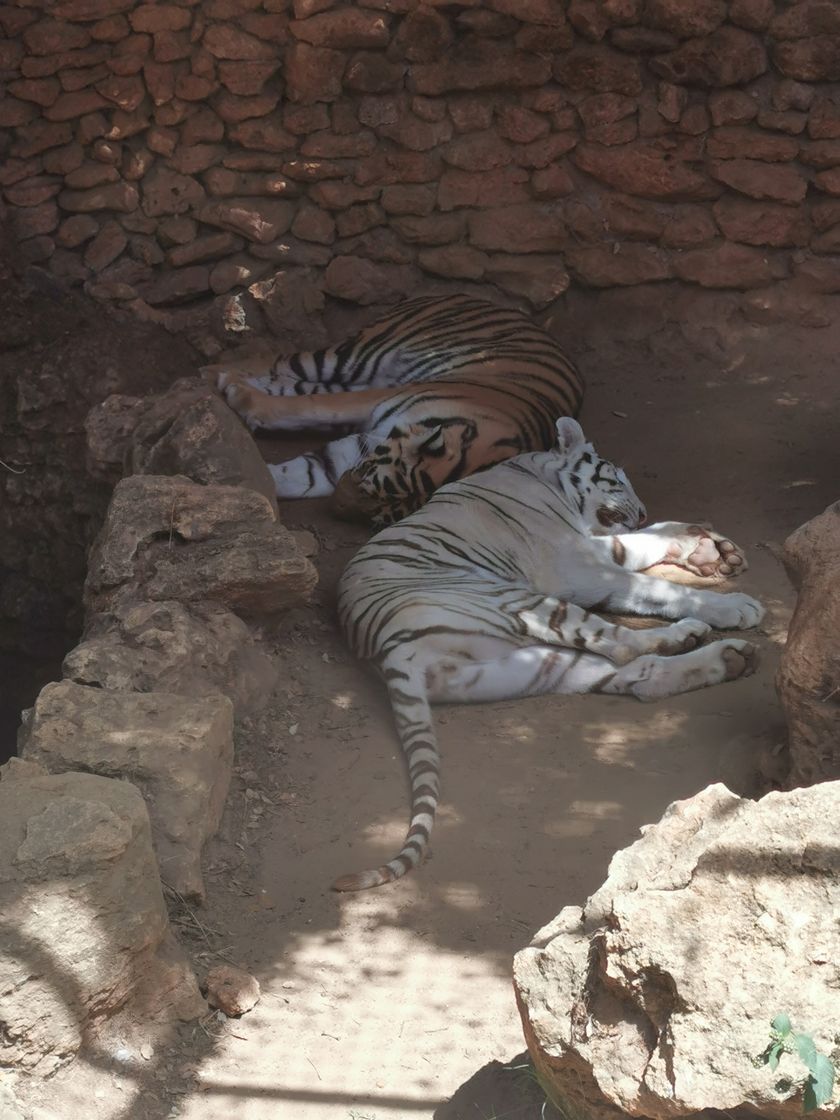 Lugar Zoo de Castellar