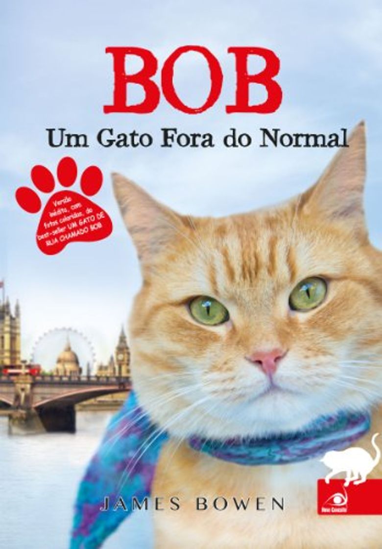 Book Bob, um gato fora do normal