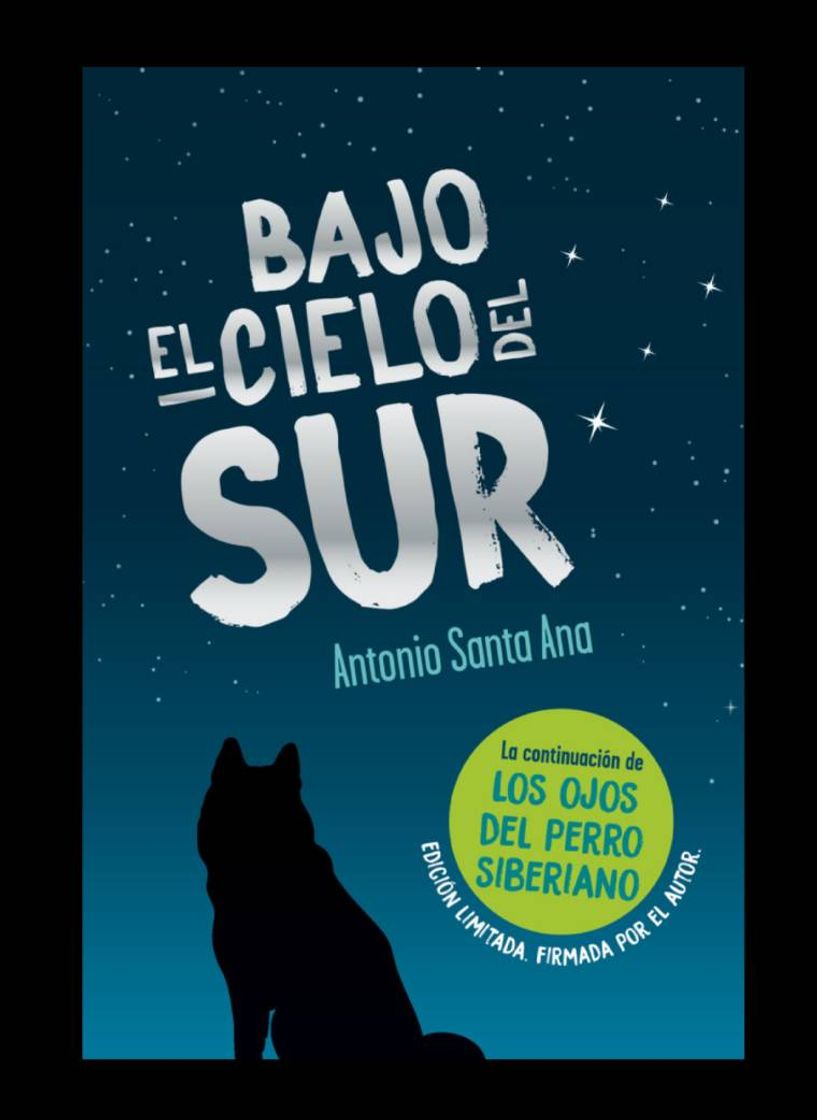 Book Bajo el cielo del Sur 