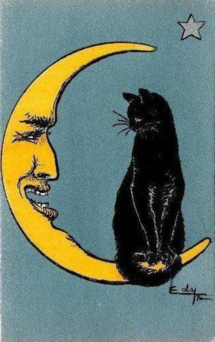 Moda Moon and Black cat 💫