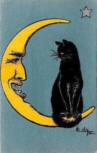 Moon and Black cat 💫