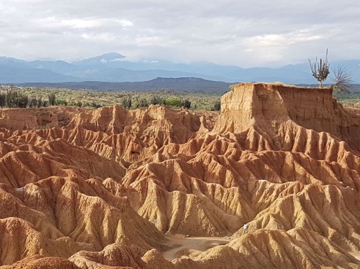 Lugar Desierto de la Tatacoa