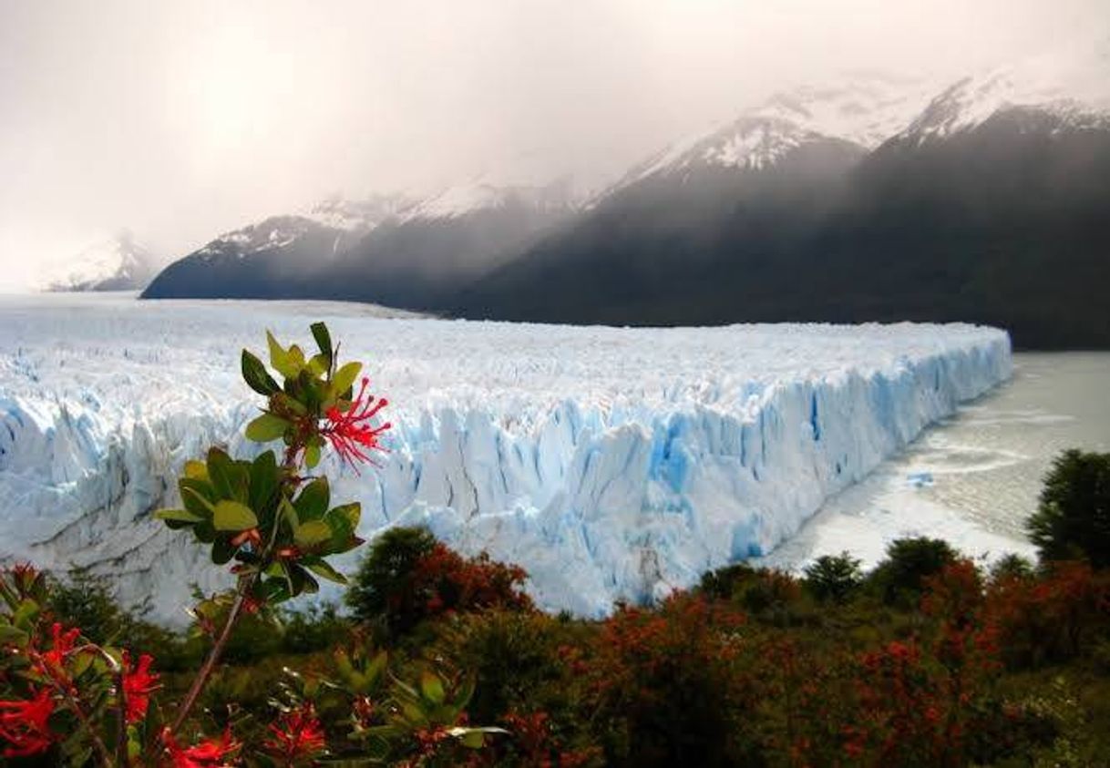 🇦🇷Argentina🇦🇷