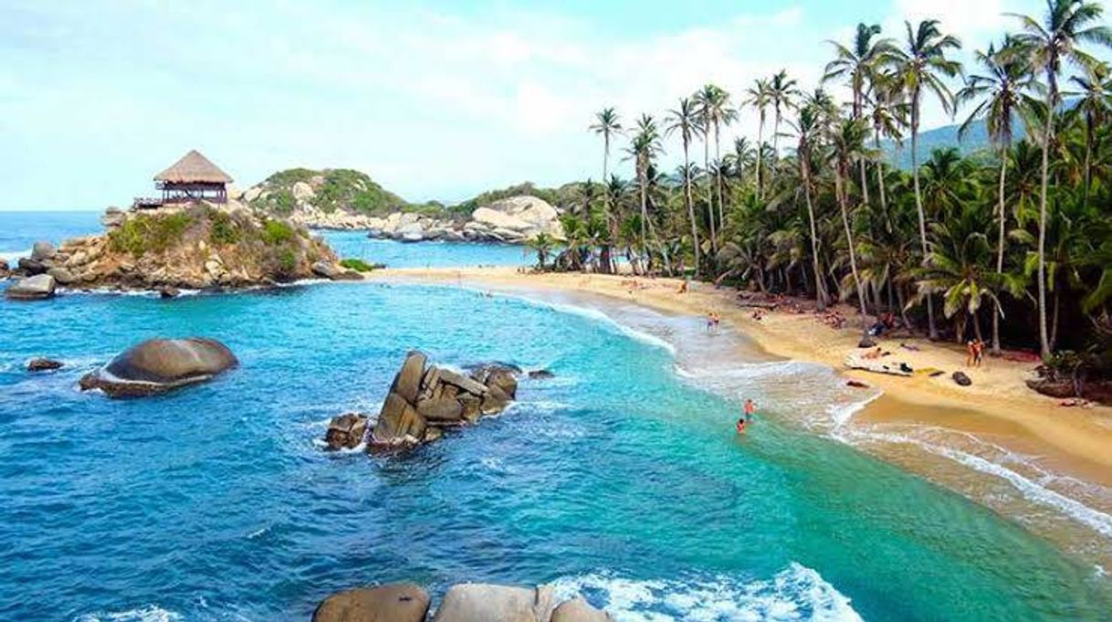 🇨🇴Colômbia🇨🇴