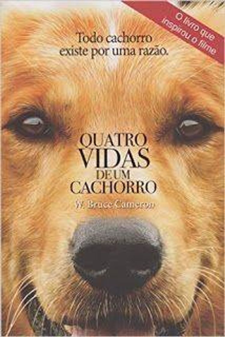 Película 4 vidas de um cachorro