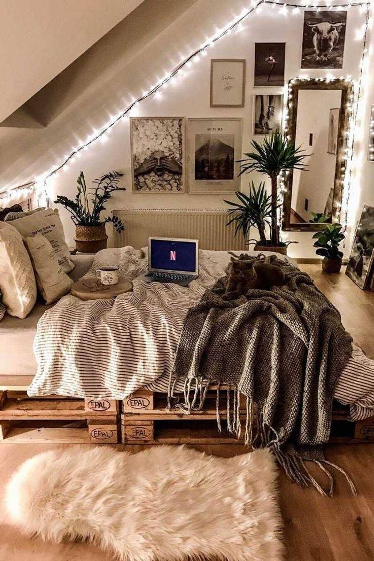 Moda Room decor🥰😍